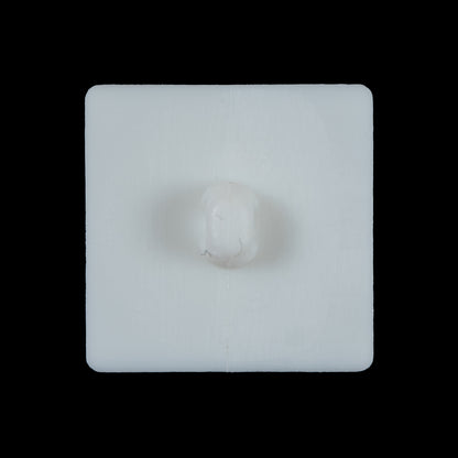 White Square Bevel Cut Button - 44L/28mm Detail