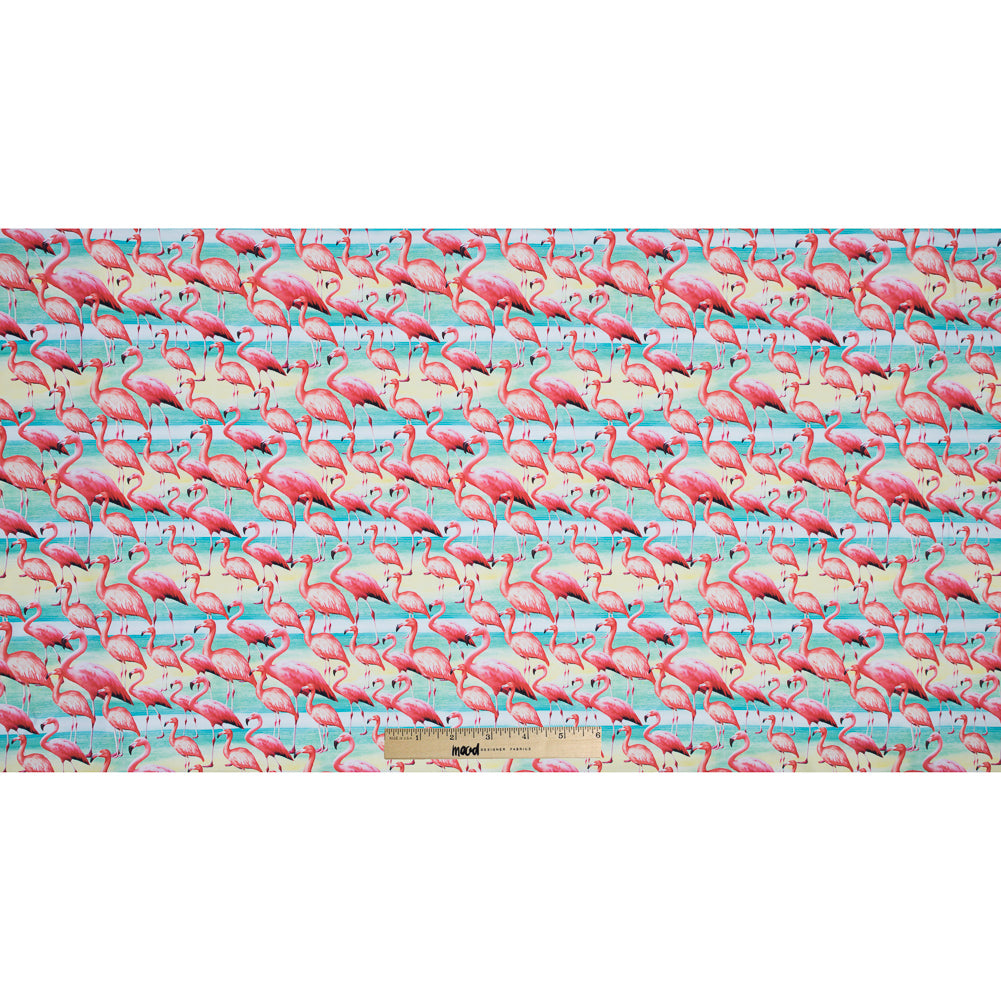 Flamingo Caye UV Protective Compression Swimwear Tricot with Aloe Vera Microcapsules Full