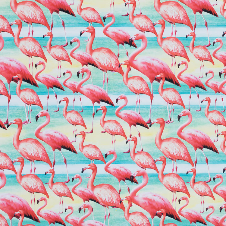 template--25130090922057__main-Flamingo Caye UV Protective Compression Swimwear Tricot with Aloe Vera Microcapsules