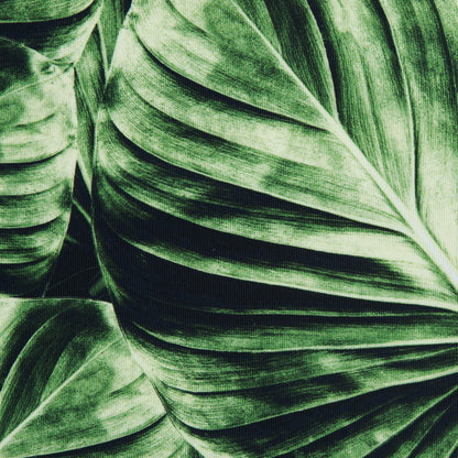 Banana Leaf Caye UV Protective Compression Swimwear Tricot with Aloe Vera Microcapsules Full