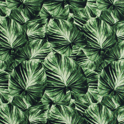 Banana Leaf Caye UV Protective Compression Swimwear Tricot with Aloe Vera Microcapsules