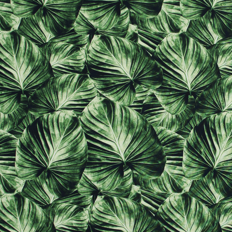 template--26688905969737__main-Banana Leaf Caye UV Protective Compression Swimwear Tricot with Aloe Vera Microcapsules