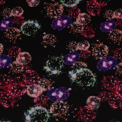 Italian Black Dandelion Printed Stretch Scuba Knit