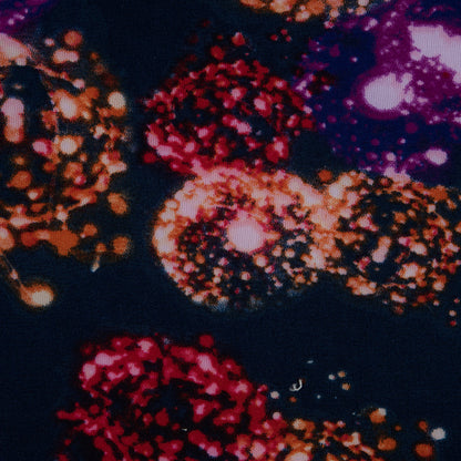 Italian Navy Dandelion Printed Stretch Scuba Knit Detail