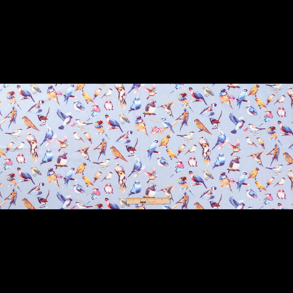 Blue Bird Printed Organic Cotton Shirting Folded