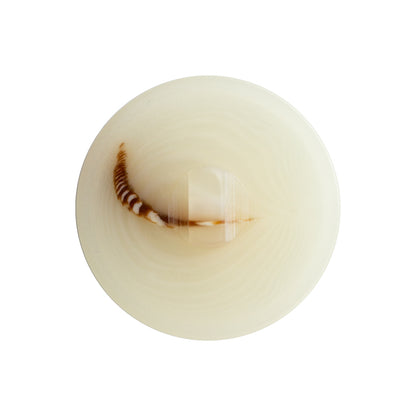Cream and Brown Horn Shank Back Button - 40L/25.5mm Detail