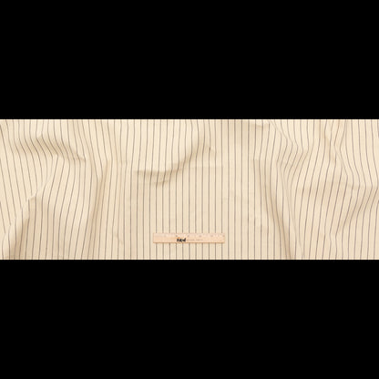 Rag & Bone Beige and Black Pencil Striped Selvedge Denim Full
