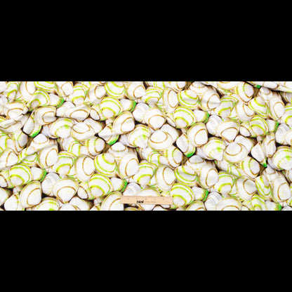 Compression Swimwear Tricot, UV Protective with Aloe Vera Microcapsules - Neon Green Shells - Caye Collection Full