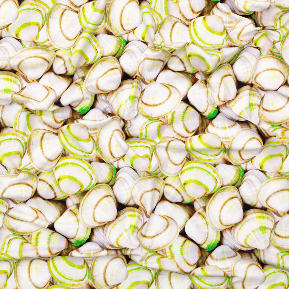 Compression Swimwear Tricot, UV Protective with Aloe Vera Microcapsules - Neon Green Shells - Caye Collection