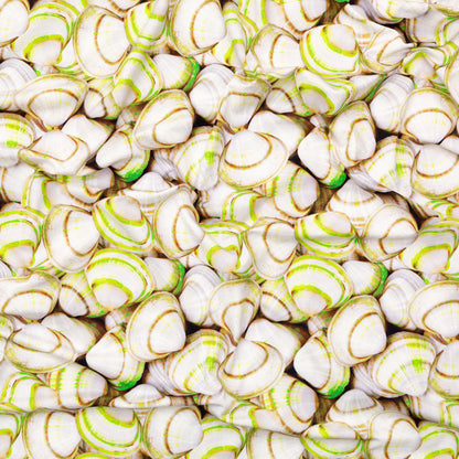 Compression Swimwear Tricot, UV Protective with Aloe Vera Microcapsules - Neon Green Shells - Caye Collection