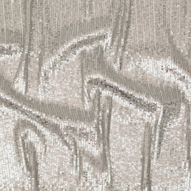 Silver Striped Circle Sequins over White Mesh
