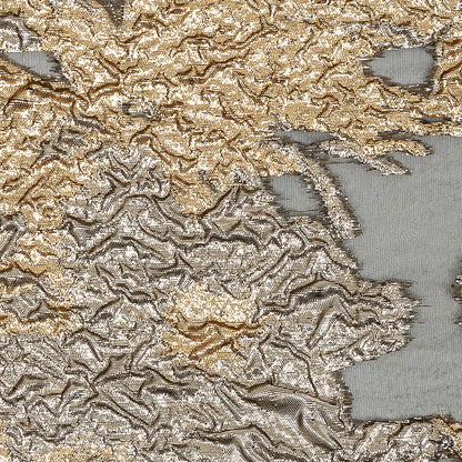 Metallic Gold and Black Abstract Luxury Burnout Brocade
