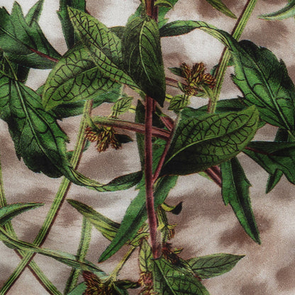 Mercerized Organic Egyptian Cotton Shirting - Misty Foliage - Ravello Collection