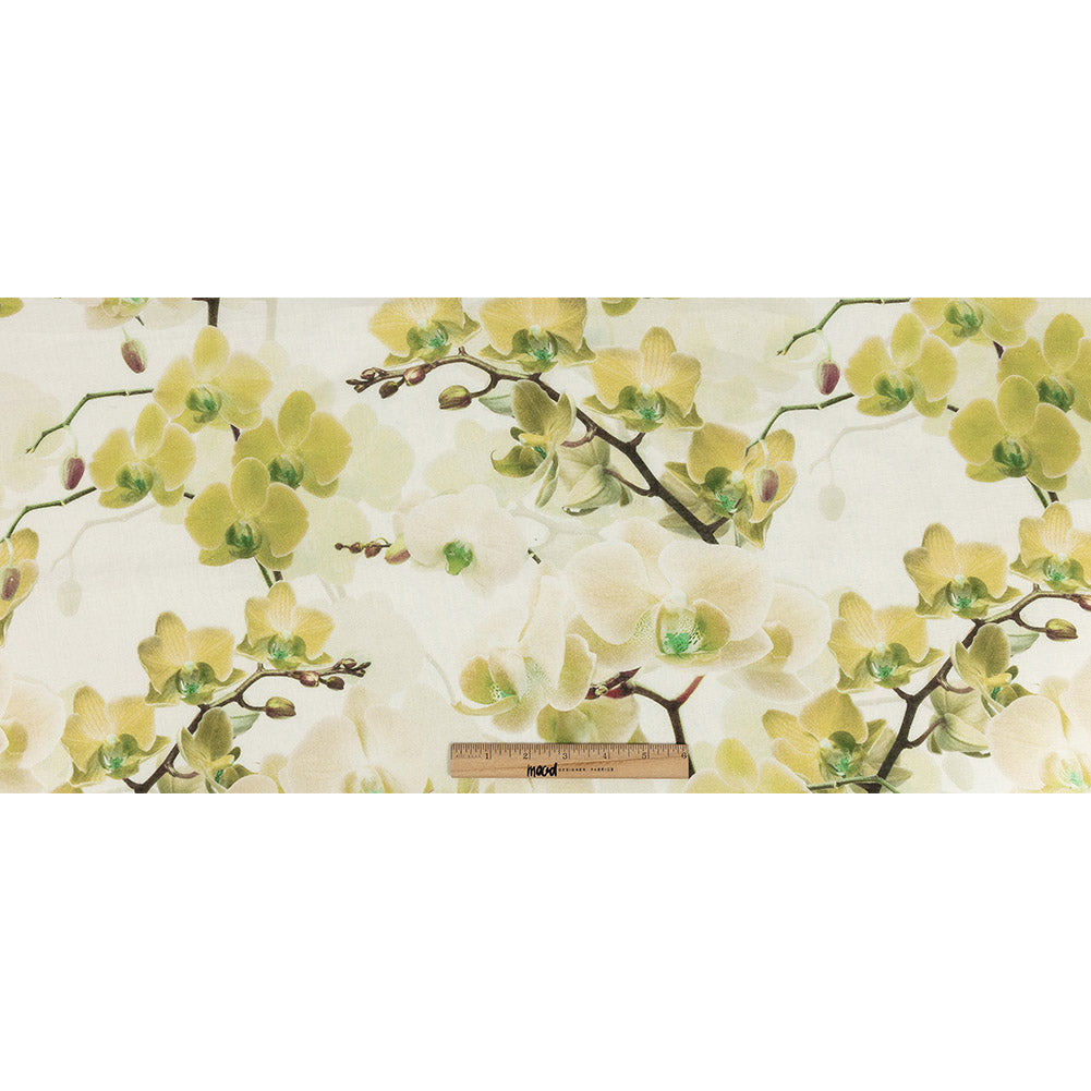 Tilted Grape Green Orchid and Tofu Printed Linen Woven Full