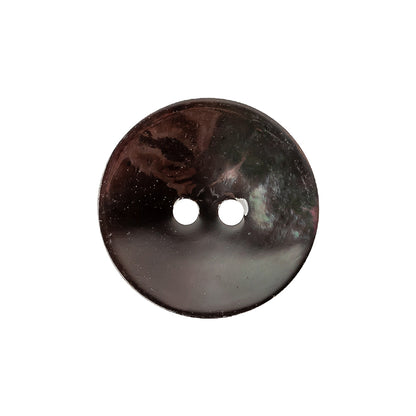 Oil Slick Iridescent 2-Hole Shell Button - 36L/23mm