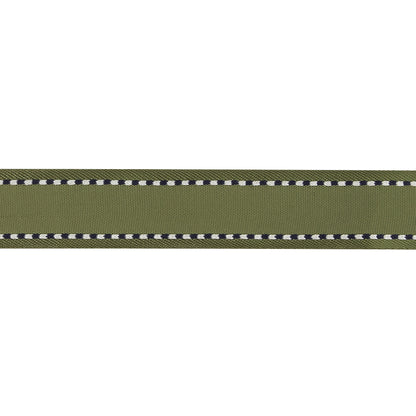 Sage Green Woven Ribbon with Navy and White Stitched Border - 0.625" Detail