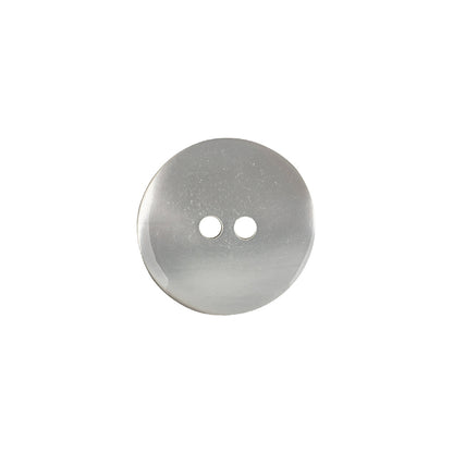 Italian Silver and Gray Iridescent Scales 2-Hole Plastic Button - 24L/15mm Detail