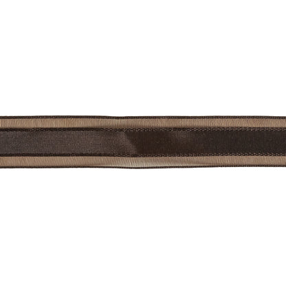 Fudge Woven Ribbon with Sheer Organza Borders - 0.75" Detail