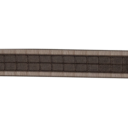 Brown Squares and Sheer Borders Ribbon - 0.5625" Detail