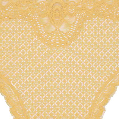 Sunshine Stretch Lace Panty Trim Panel - 10.25" x 14.25" Detail