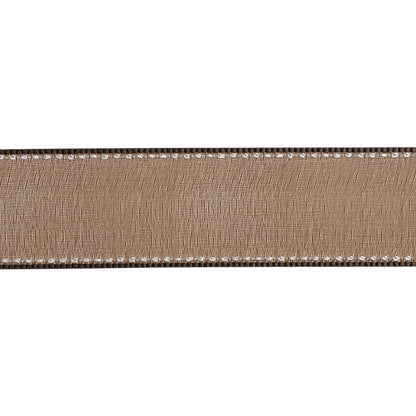 Sheer Ribbon with White Stitched Border - 1" - Brown