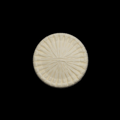 Plastic Shank Back Button - 32L/20mm - Ivory Radiating Sticks