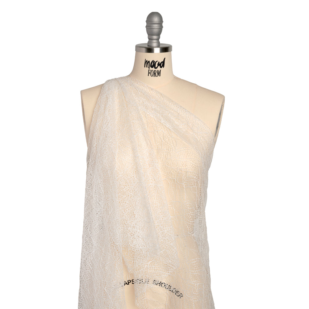 Re-Embroidered Lace - White Abstract Net - Drape