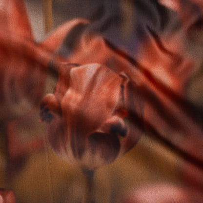 Polyester Mikado - Red and Light Brown Large Hazy Tulips - Mood Exclusive Tulip Transformation Print