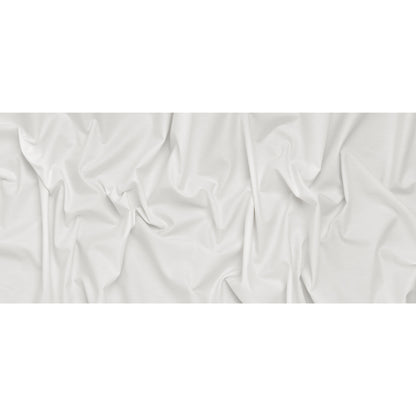 Cotton Oxford Shirting - Off White - Deadstock - Full