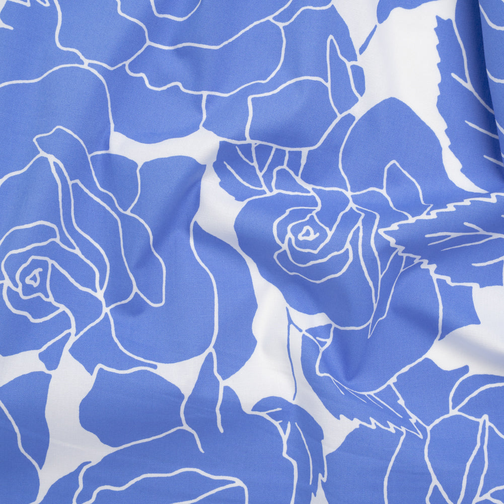 Stretch Cotton Poplin Print - Cornflower Blue and White Rose Floral - Designer Deadstock