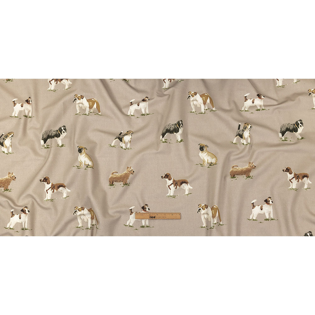 Cotton Canvas Print - Caramel Puppy Parade - British Imported Full