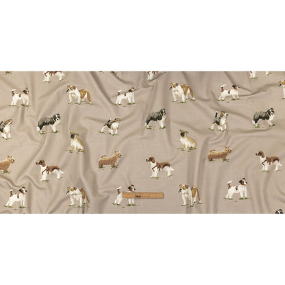 Cotton Canvas Print - Caramel Puppy Parade - British Imported Full