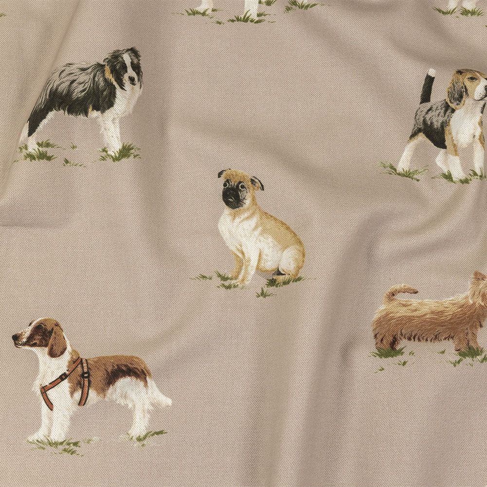 Cotton Canvas Print - Caramel Puppy Parade - British Imported