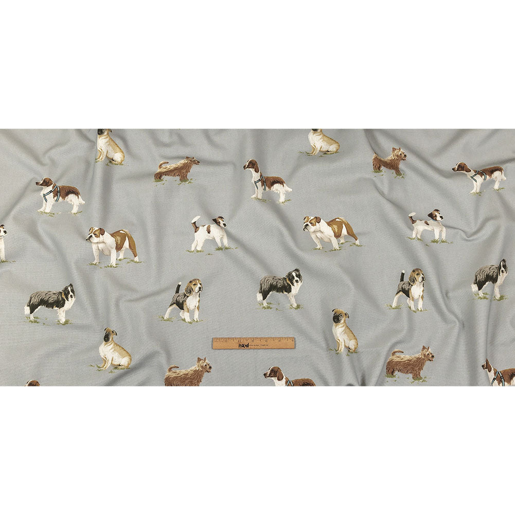 Cotton Canvas Print - Danube Puppy Parade - British Imported Full