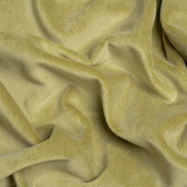 Cotton and Polyester Upholstery Velvet - Lime - Banton Collection