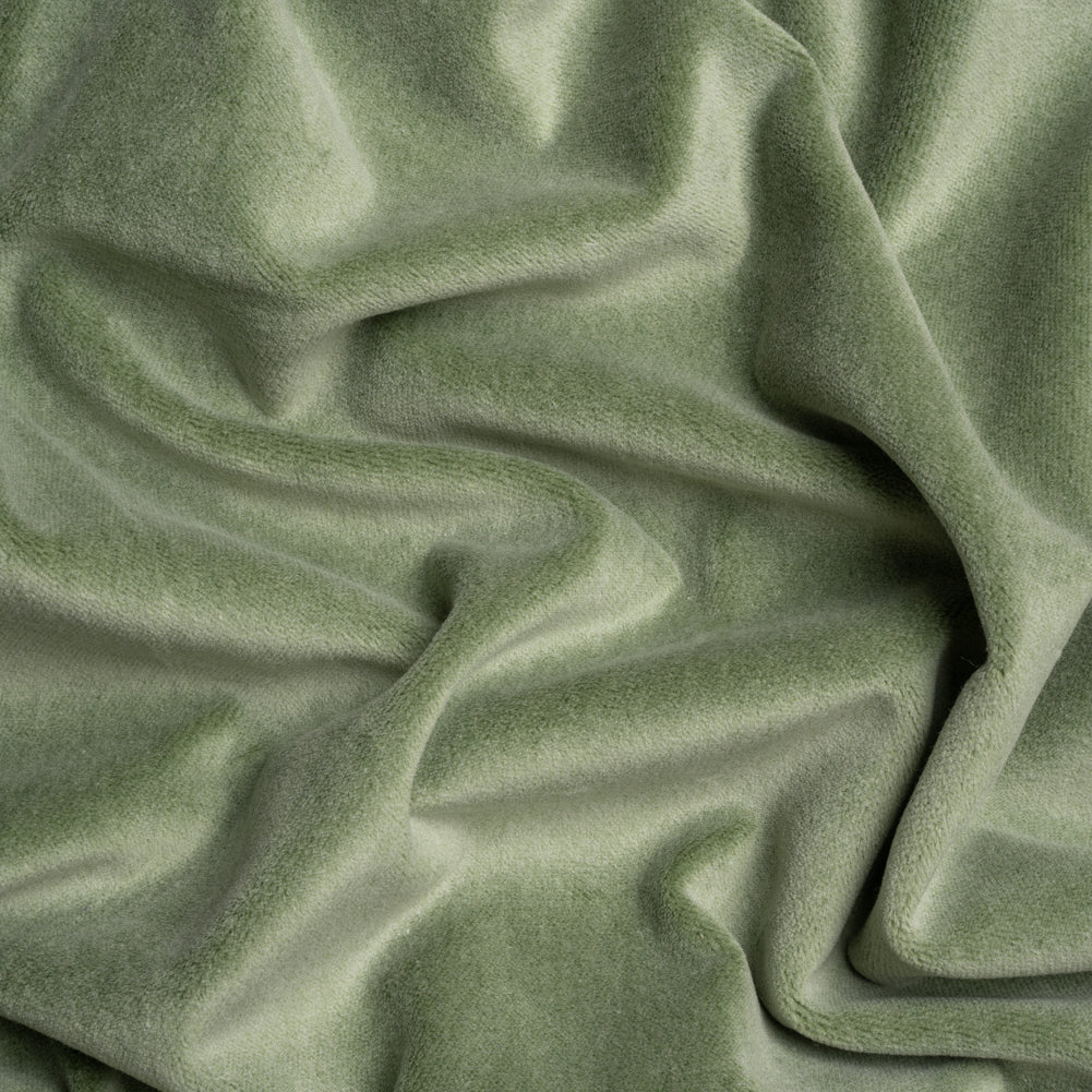 Cotton and Polyester Upholstery Velvet - Sage - Banton Collection