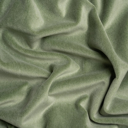 Cotton and Polyester Upholstery Velvet - Sage - Banton Collection