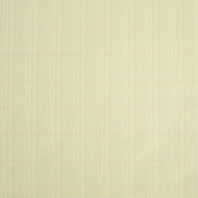 Kiwi Green and Off-White Plaid Cotton Blend Suiting