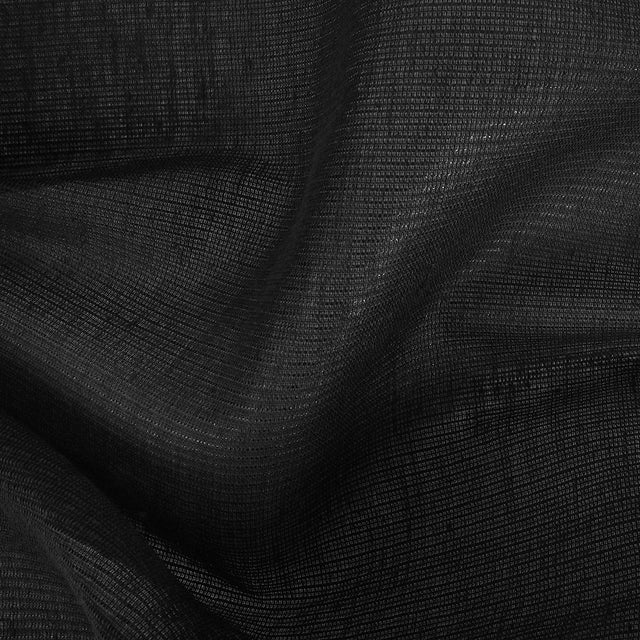 Italian Black Stiff Gazar