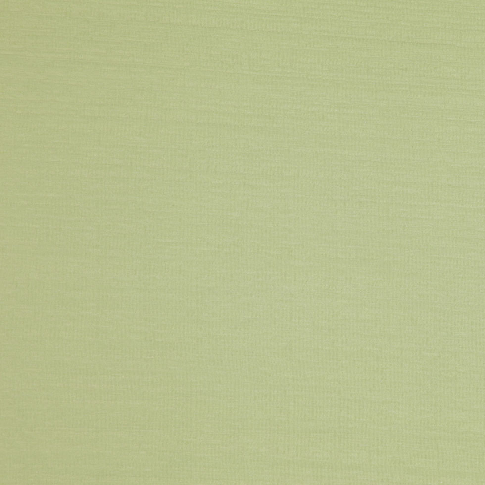 Light Green Solid Jersey