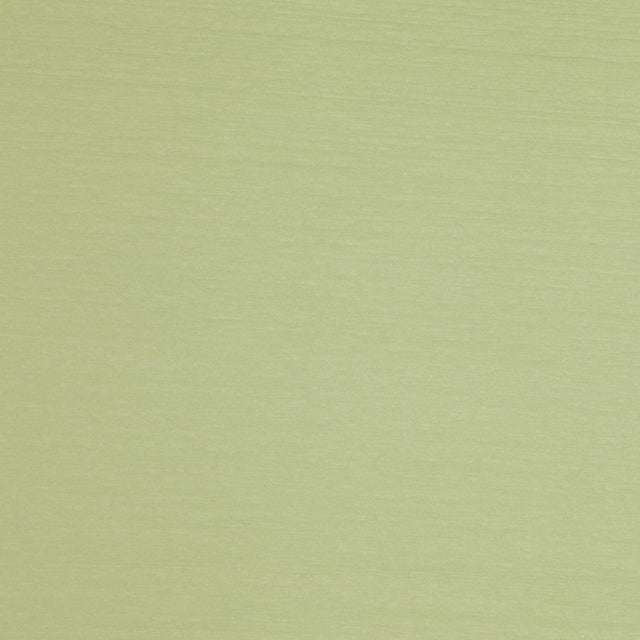 Light Green Solid Jersey