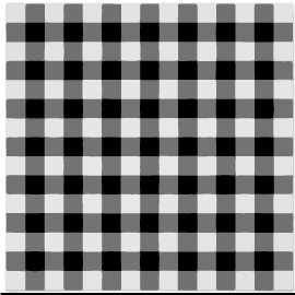 GINGHAM.webp