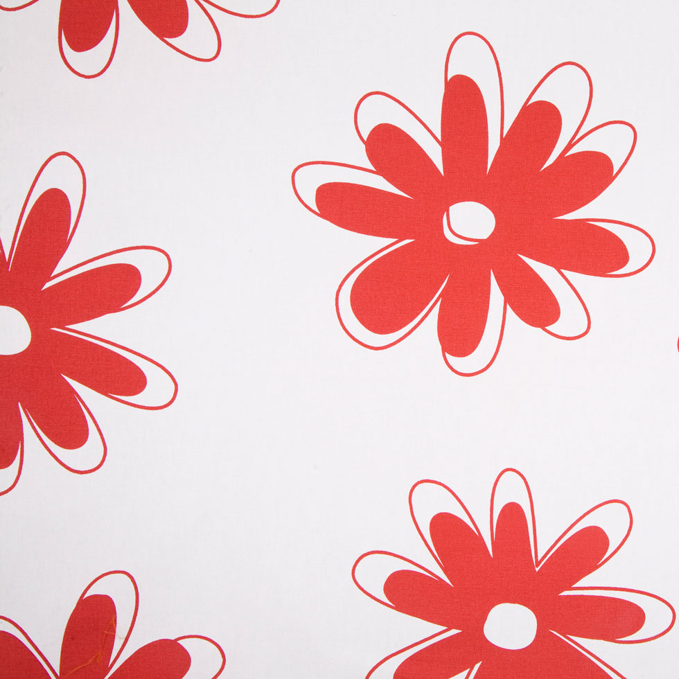 Off-White/Black/Primary Red Floral Canvas