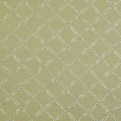 Cream/White Diamonds Brocade Detail