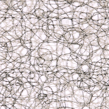 Onyx Sheer Sheer Detail