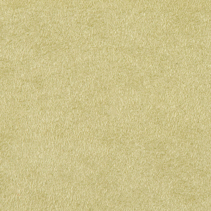 Vaneko Celery Solid Faux Ultrasuede