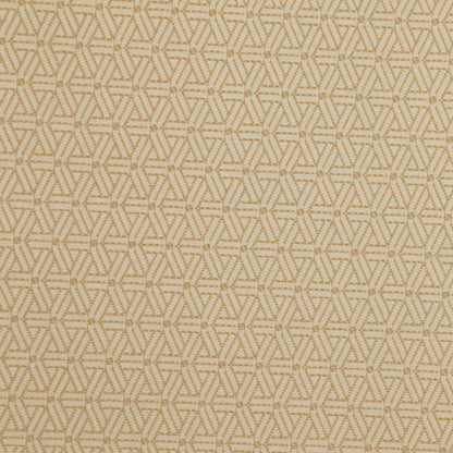 Tan/Beige Geometric Woven