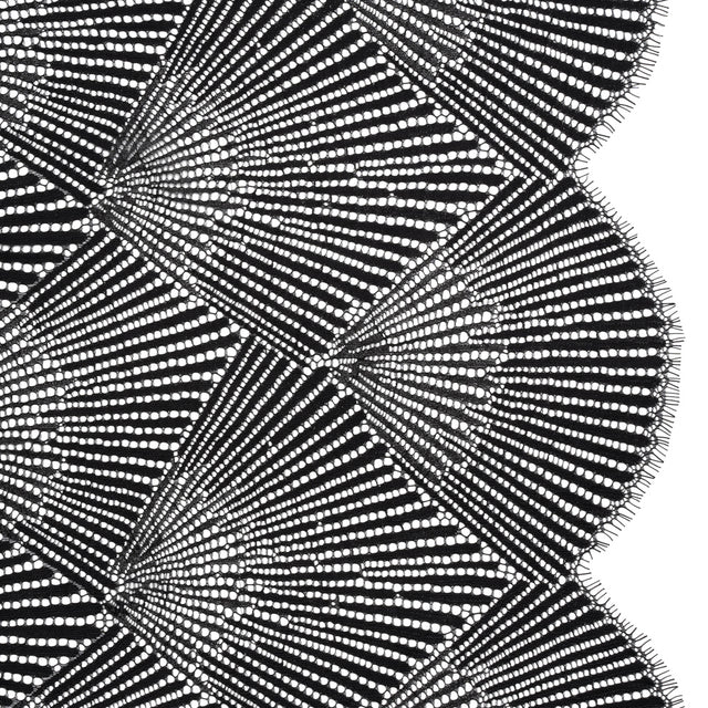 Raschel Lace Panel with Finished Scalloped Edges - Deep Black Fans
