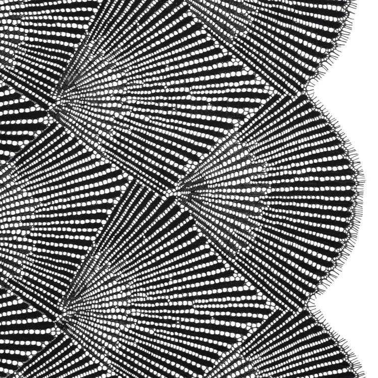 template--25130090922057__main-Raschel Lace Panel with Finished Scalloped Edges - Deep Black Fans