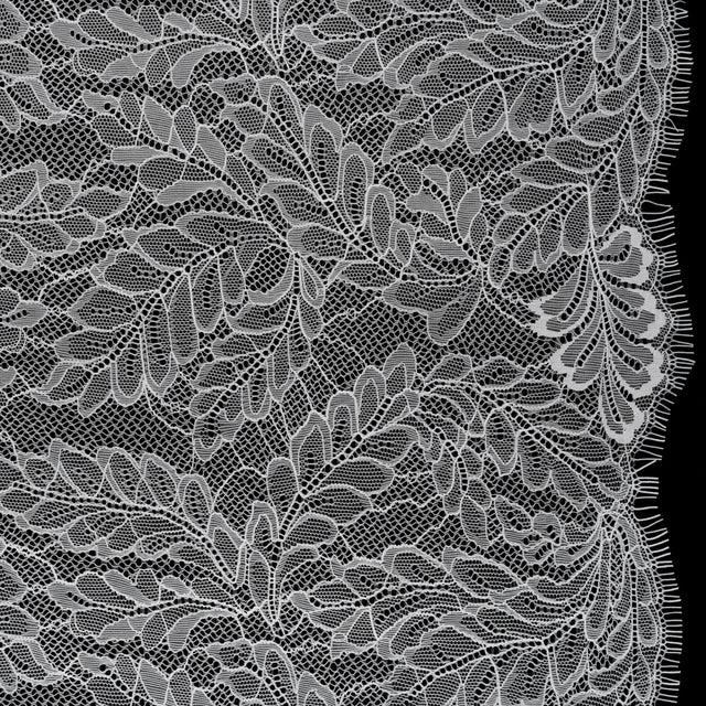 Nylon Re-Embroidered Lace with Finished Edges - Ivory Leafy Stems